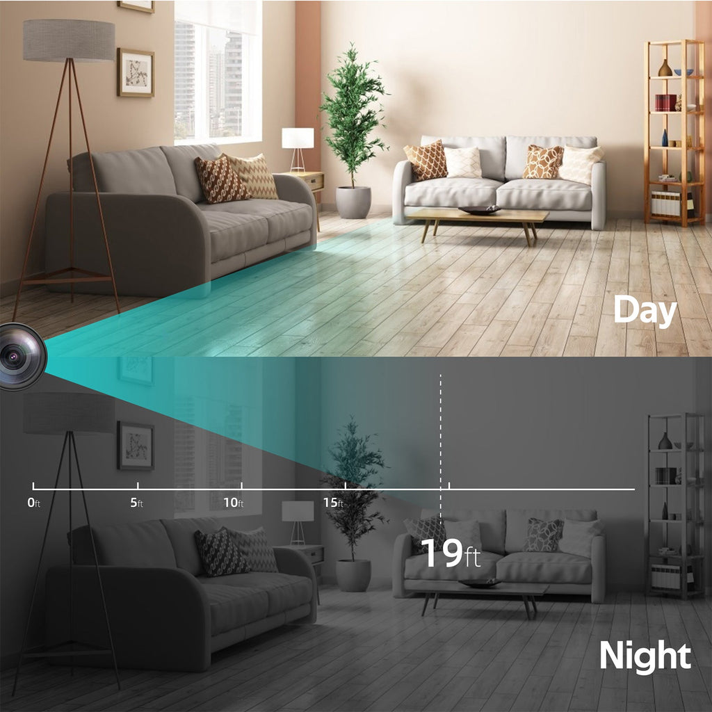 Night View & Day View